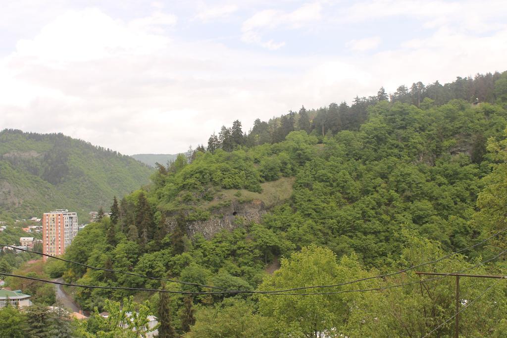 Anastasia Guesthouse Боржоми Екстериор снимка